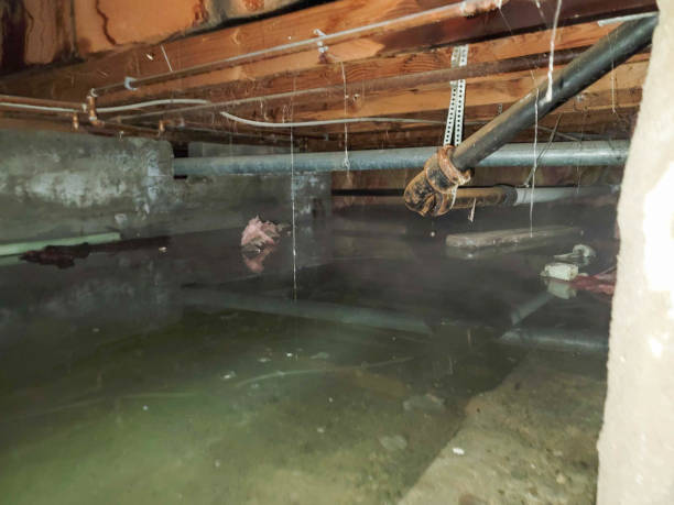 , PA Water damage restoration Company