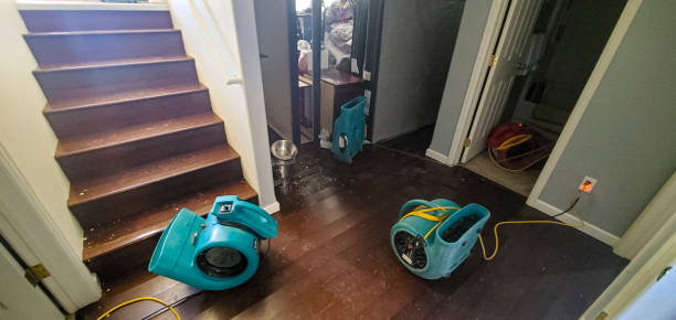 Best Flooded house restoration  in Martinsburg, PA