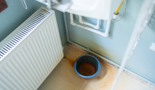 Best Water damage restoration process  in Martinsburg, PA