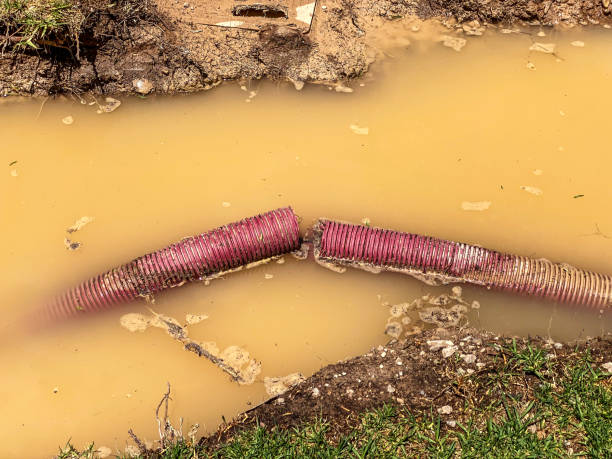 Best Mold removal after water damage  in Martinsburg, PA